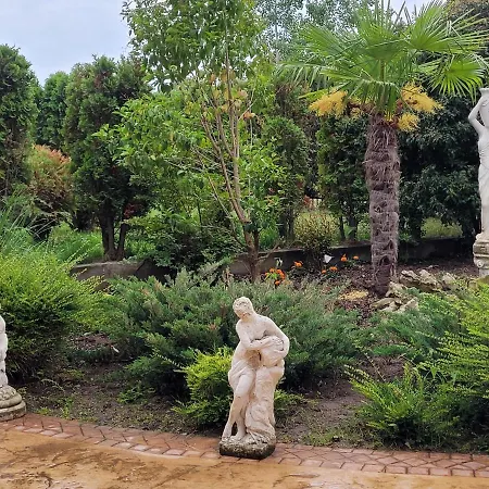 Vip-zone 써니비치