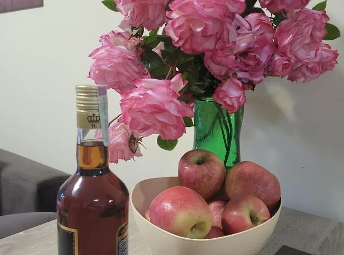 Vip-zone * 써니비치