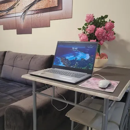 Apartment Vip-zone