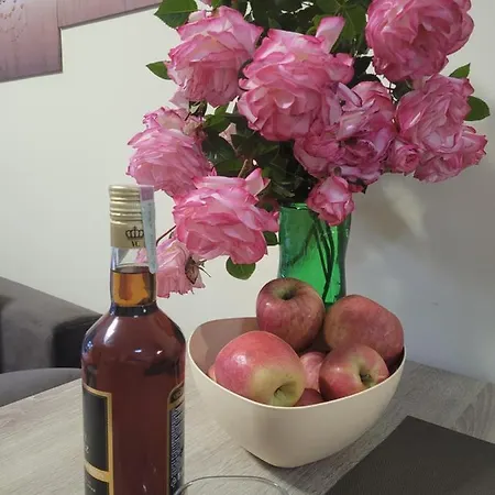 Vip-zone * Солнечный берег