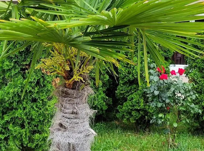 Апартамент Vip-zone Слънчев бряг